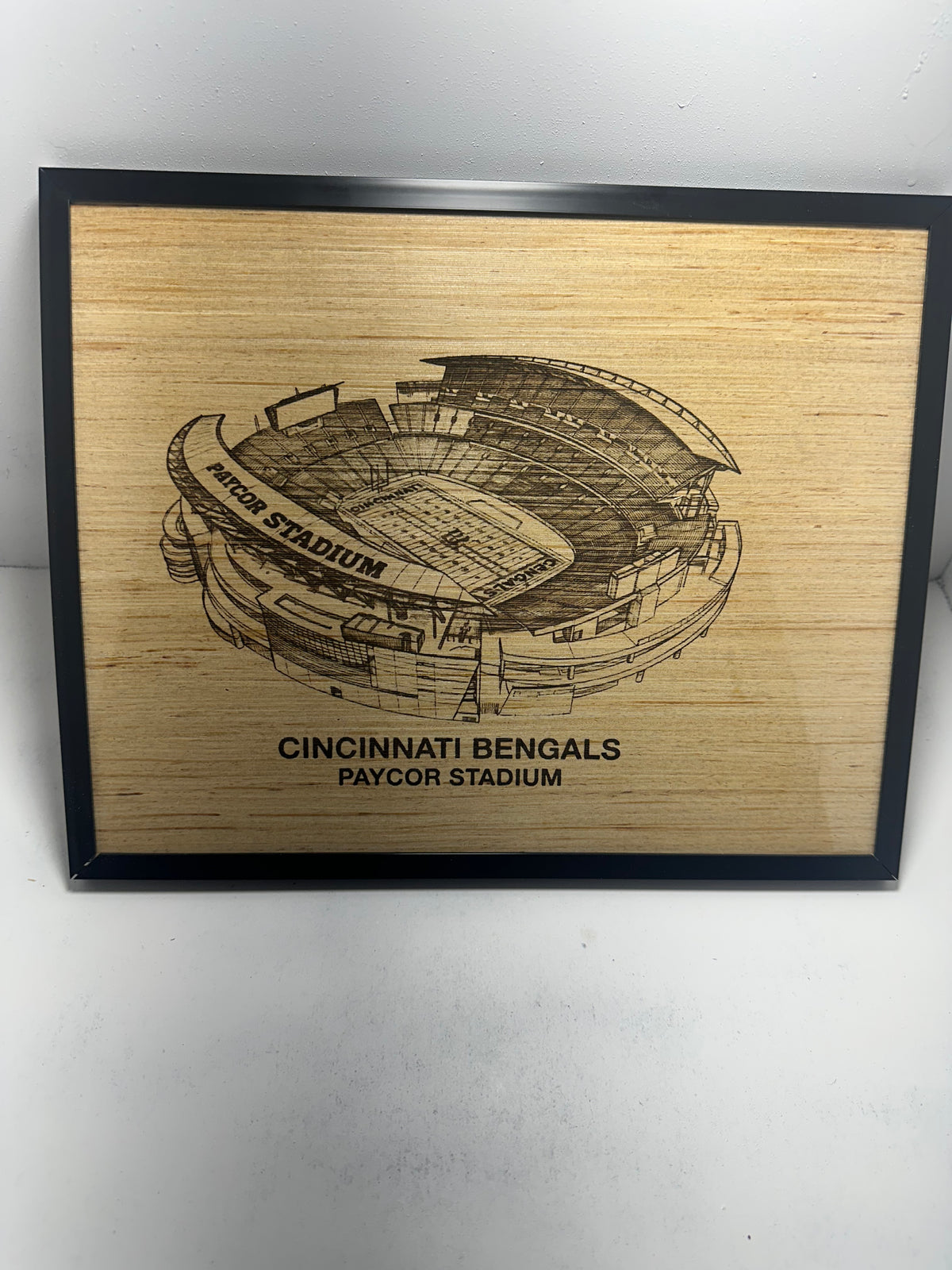 Custom made NFL Stadium Wall art 11x14"