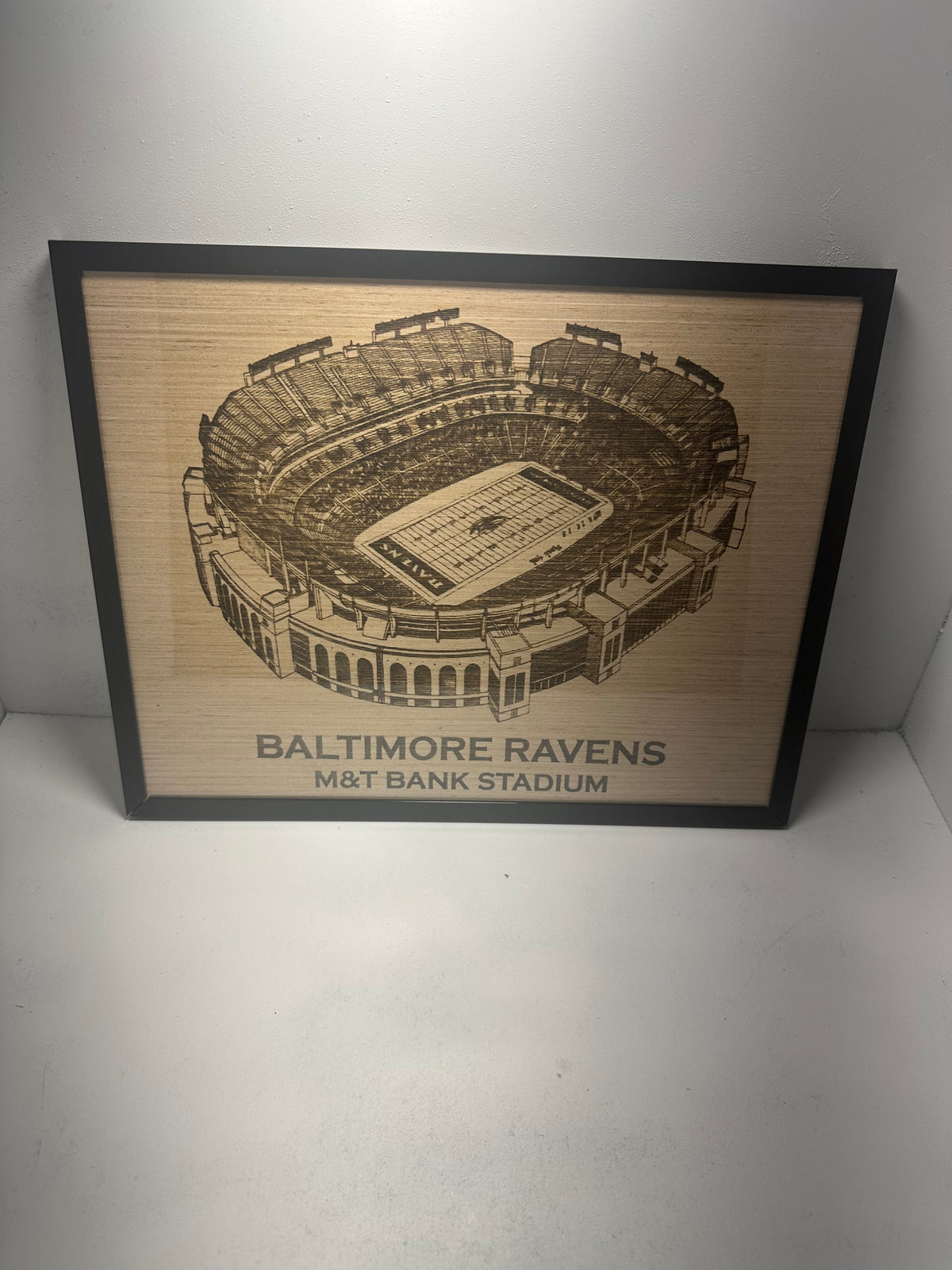 Custom made NFL Stadium Wall art 11x14"