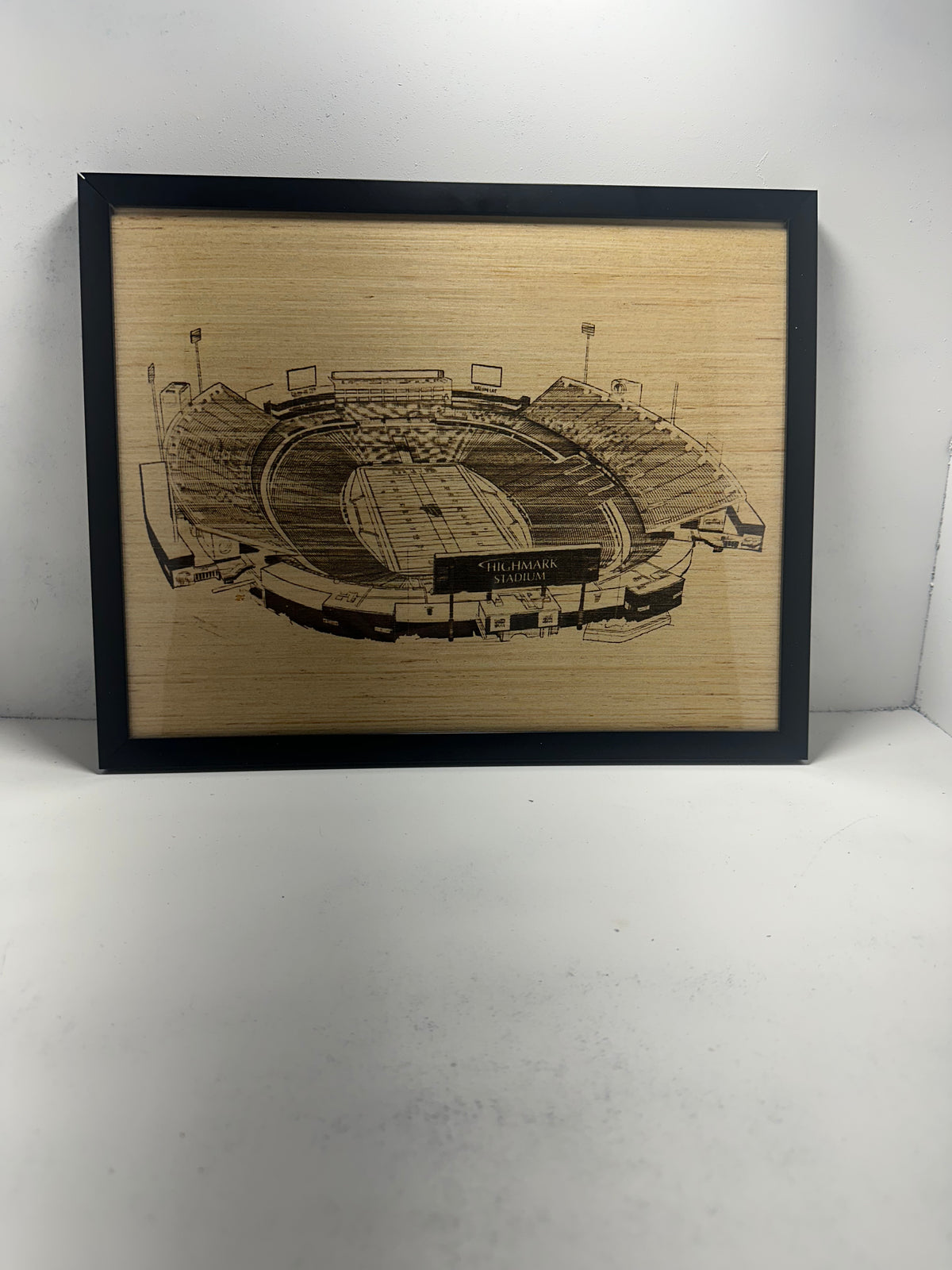 Custom made NFL Stadium Wall art 11x14"