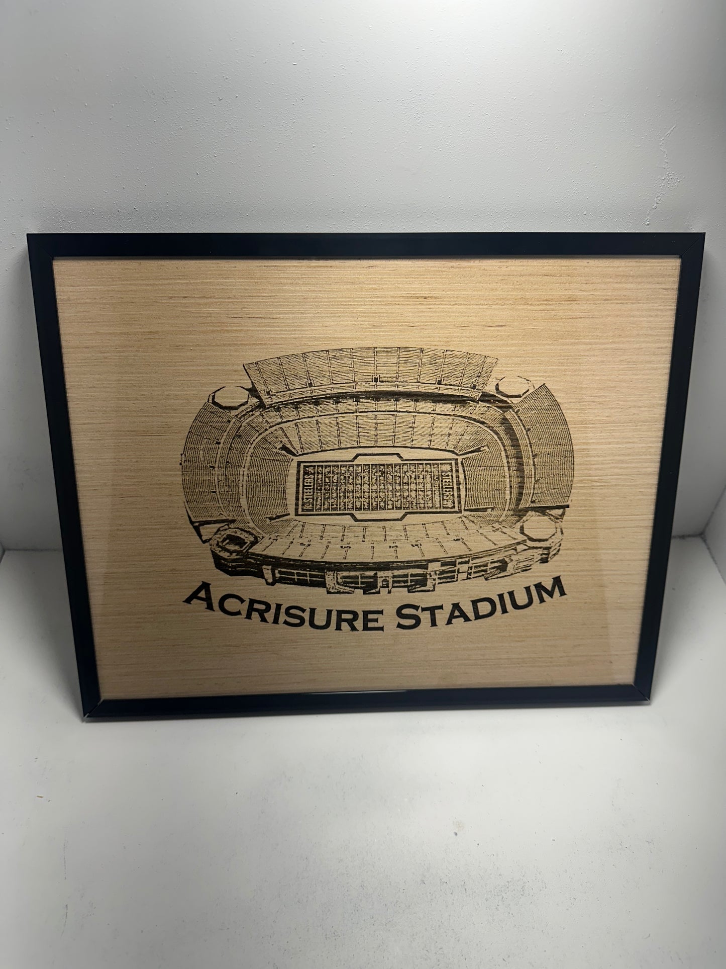 Custom made NFL Stadium Wall art 11x14"