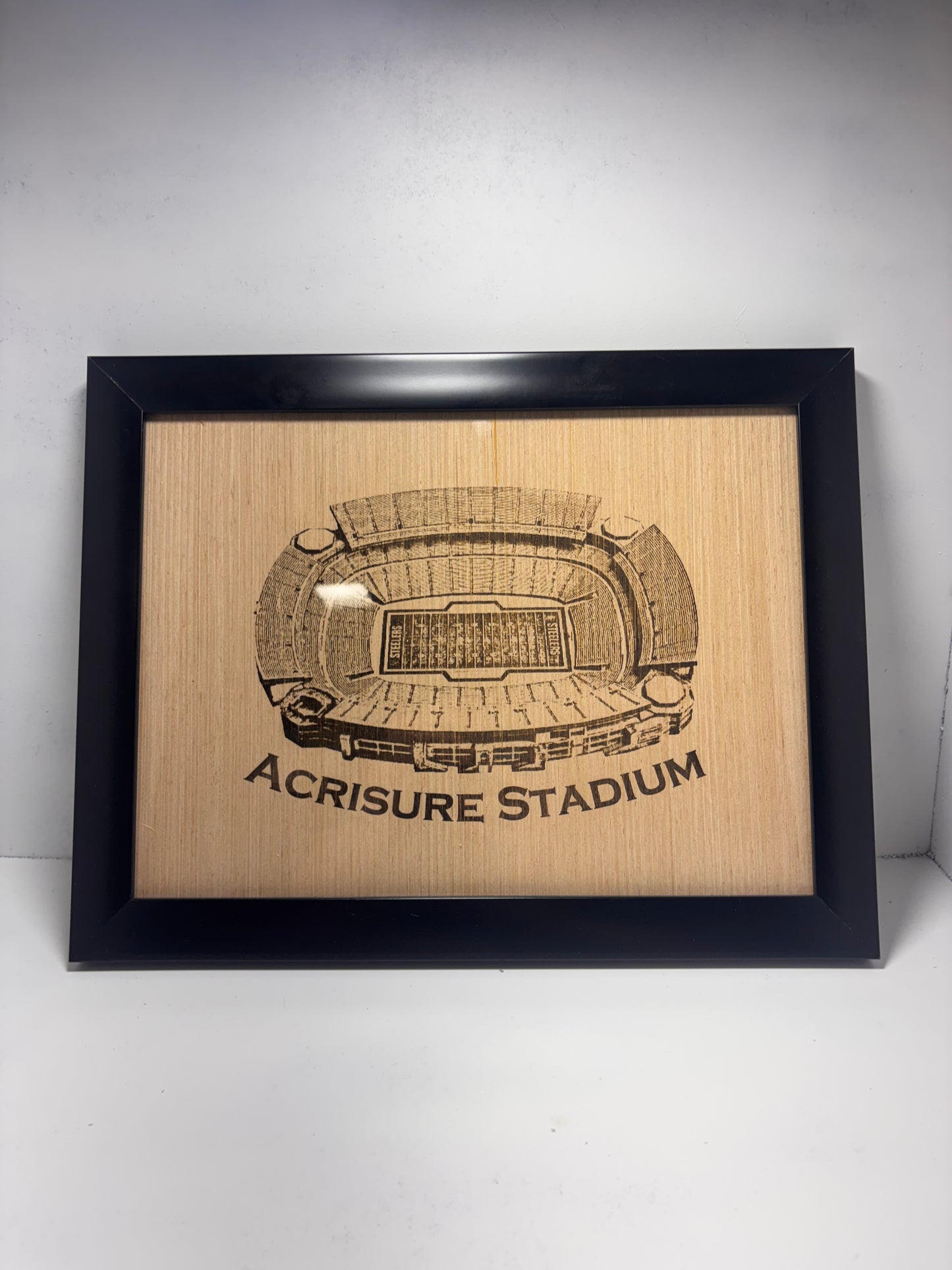 Custom made Stadium Wall art 11x14"